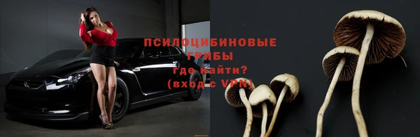соль ск Балабаново