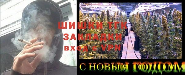 соль ск Балабаново